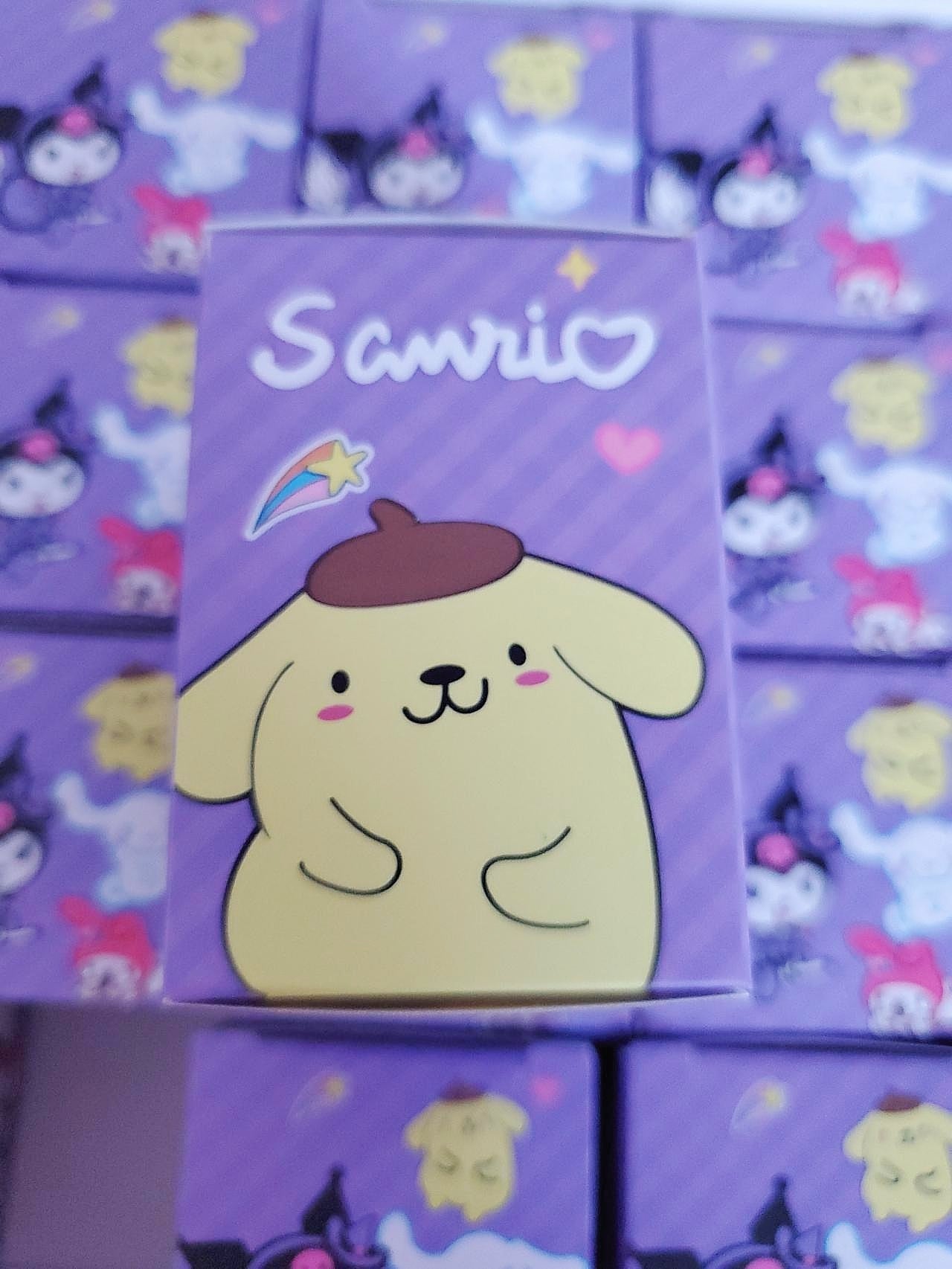 Sanrio Mystery Blind Box 💜